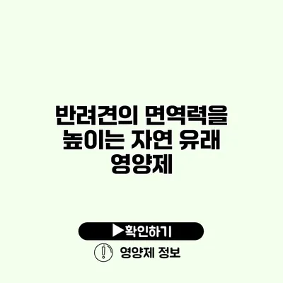 반려견의 면역력을 높이는 자연 유래 영양제