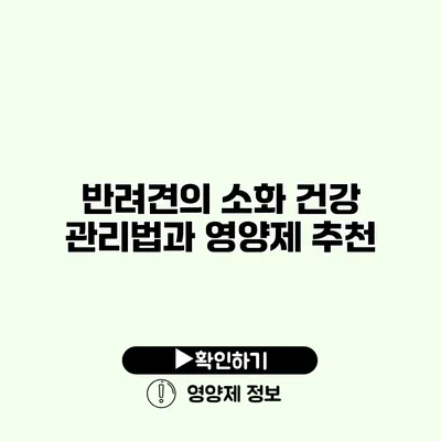 반려견의 소화 건강 관리법과 영양제 추천