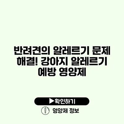 반려견의 알레르기 문제 해결! 강아지 알레르기 예방 영양제