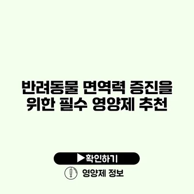 반려동물 면역력 증진을 위한 필수 영양제 추천