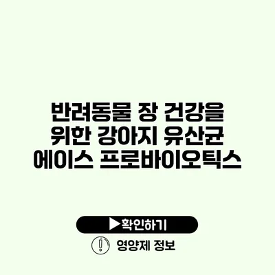 반려동물 장 건강을 위한 강아지 유산균 에이스 프로바이오틱스