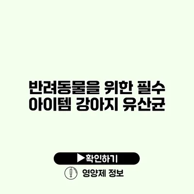 반려동물을 위한 필수 아이템 강아지 유산균