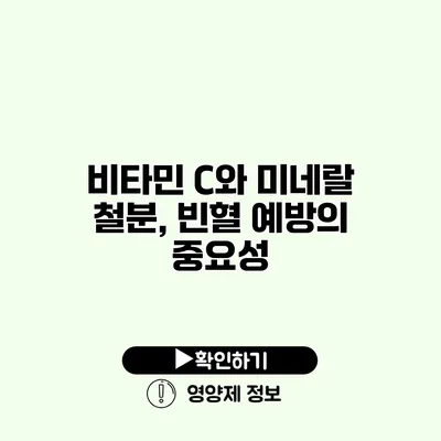 비타민 C와 미네랄 철분, 빈혈 예방의 중요성