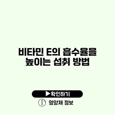 비타민 E의 흡수율을 높이는 섭취 방법