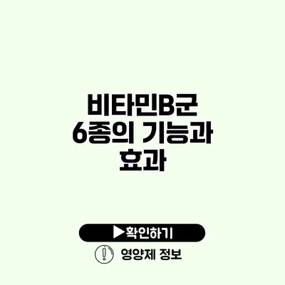 비타민B군 6종의 기능과 효과