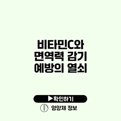 비타민C와 면역력 감기 예방의 열쇠