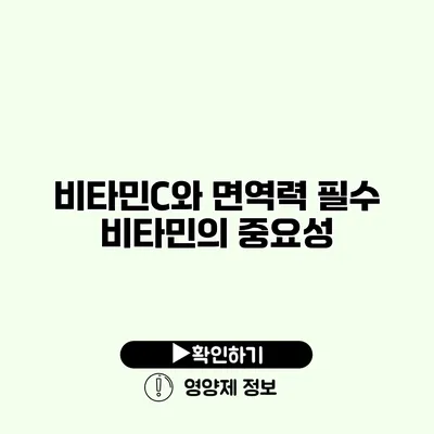 비타민C와 면역력 필수 비타민의 중요성