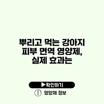 뿌리고 먹는 강아지 피부 면역 영양제, 실제 효과는?