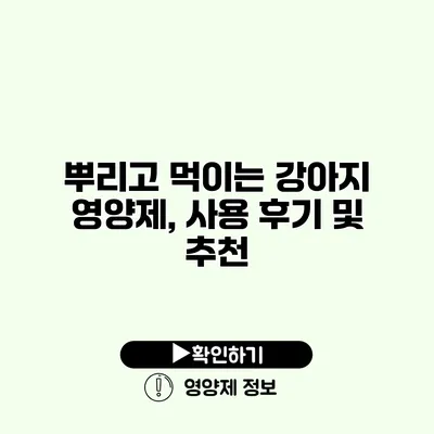 뿌리고 먹이는 강아지 영양제, 사용 후기 및 추천