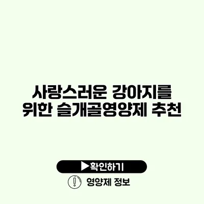 사랑스러운 강아지를 위한 슬개골영양제 추천