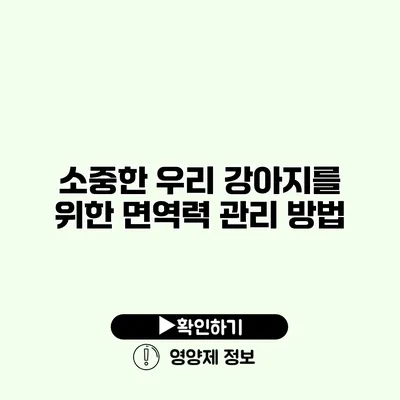 소중한 우리 강아지를 위한 면역력 관리 방법