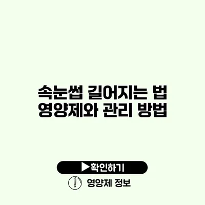 속눈썹 길어지는 법 영양제와 관리 방법