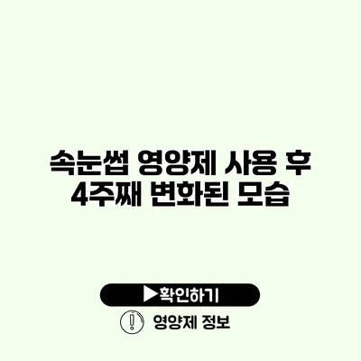 속눈썹 영양제 사용 후 4주째 변화된 모습