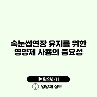 속눈썹연장 유지를 위한 영양제 사용의 중요성