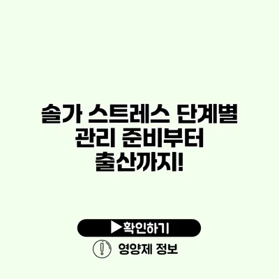 솔가 스트레스 단계별 관리 준비부터 출산까지!