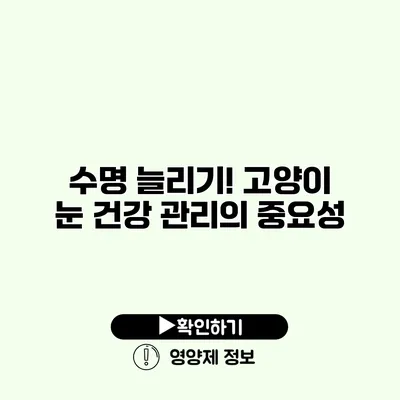 수명 늘리기! 고양이 눈 건강 관리의 중요성