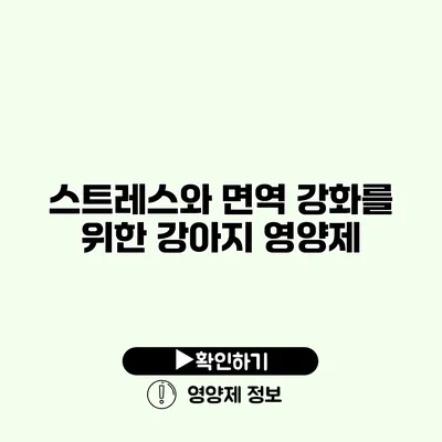 스트레스와 면역 강화를 위한 강아지 영양제