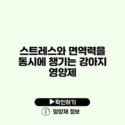 스트레스와 면역력을 동시에 챙기는 강아지 영양제