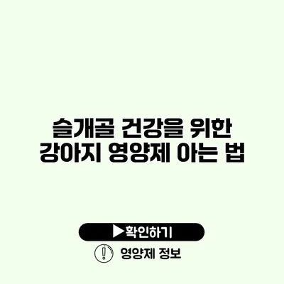 슬개골 건강을 위한 강아지 영양제 아는 법