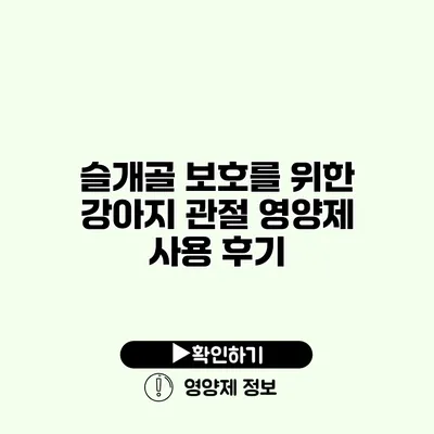 슬개골 보호를 위한 강아지 관절 영양제 사용 후기