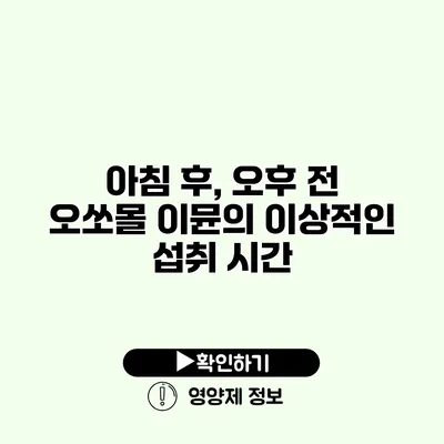 아침 후, 오후 전? 오쏘몰 이뮨의 이상적인 섭취 시간