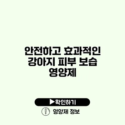 안전하고 효과적인 강아지 피부 보습 영양제