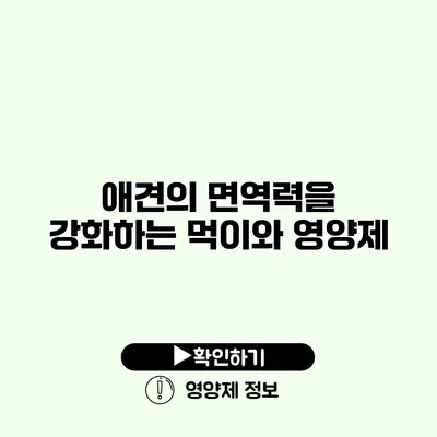 애견의 면역력을 강화하는 먹이와 영양제