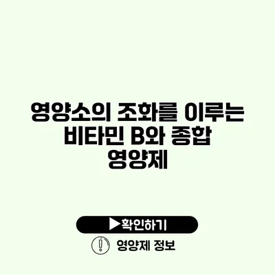 영양소의 조화를 이루는 비타민 B와 종합 영양제