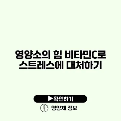 영양소의 힘 비타민C로 스트레스에 대처하기