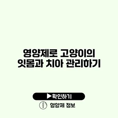 영양제로 고양이의 잇몸과 치아 관리하기