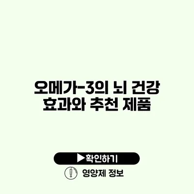 오메가-3의 뇌 건강 효과와 추천 제품