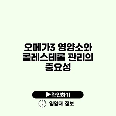 오메가3 영양소와 콜레스테롤 관리의 중요성