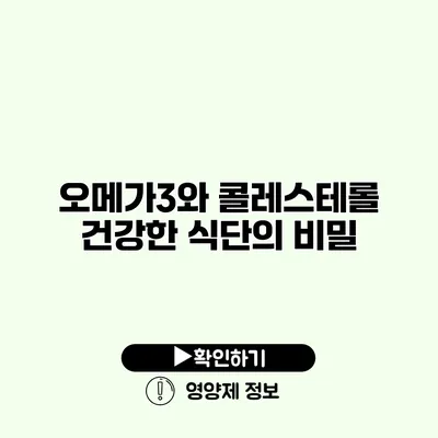 오메가3와 콜레스테롤 건강한 식단의 비밀