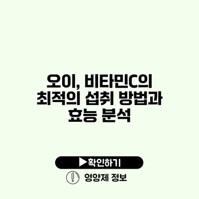 오이, 비타민C의 최적의 섭취 방법과 효능 분석