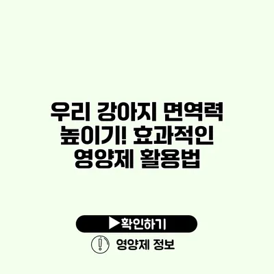 우리 강아지 면역력 높이기! 효과적인 영양제 활용법