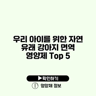 우리 아이를 위한 자연 유래 강아지 면역 영양제 Top 5