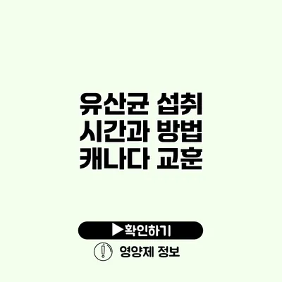 유산균 섭취 시간과 방법 캐나다 교훈