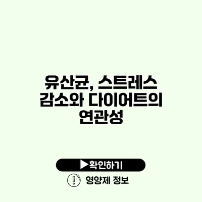 유산균, 스트레스 감소와 다이어트의 연관성