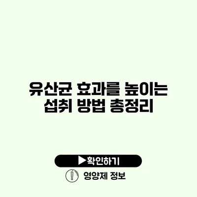 유산균 효과를 높이는 섭취 방법 총정리