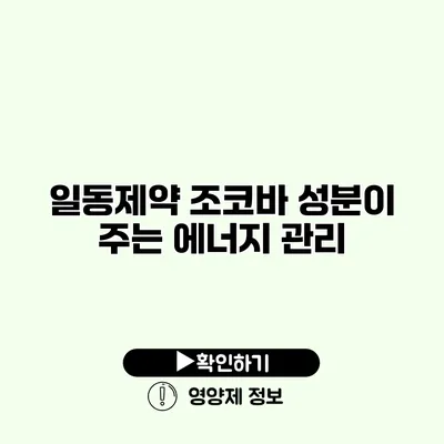 일동제약 조코바 성분이 주는 에너지 관리