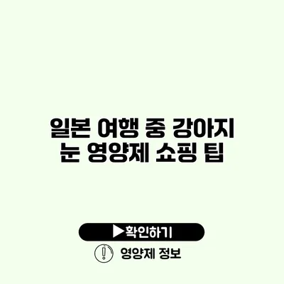 일본 여행 중 강아지 눈 영양제 쇼핑 팁