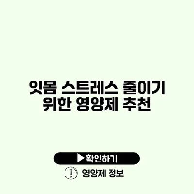 잇몸 스트레스 줄이기 위한 영양제 추천