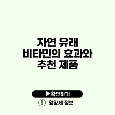 자연 유래 비타민의 효과와 추천 제품