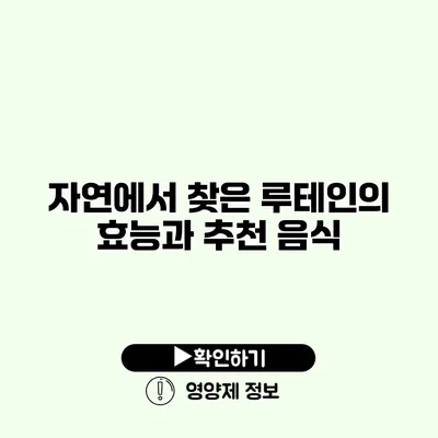 자연에서 찾은 루테인의 효능과 추천 음식