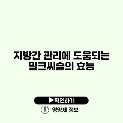 지방간 관리에 도움되는 밀크씨슬의 효능