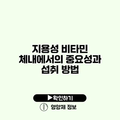 지용성 비타민 체내에서의 중요성과 섭취 방법