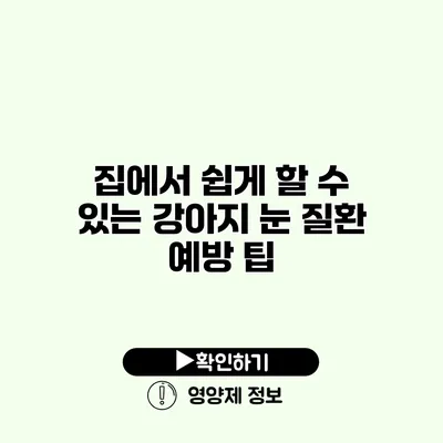 집에서 쉽게 할 수 있는 강아지 눈 질환 예방 팁