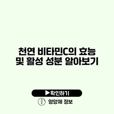 천연 비타민C의 효능 및 활성 성분 알아보기