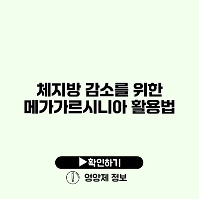 체지방 감소를 위한 메가가르시니아 활용법