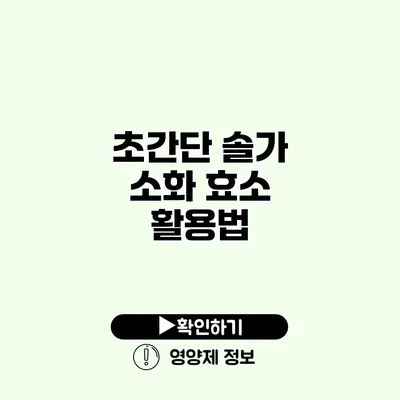 초간단 솔가 소화 효소 활용법